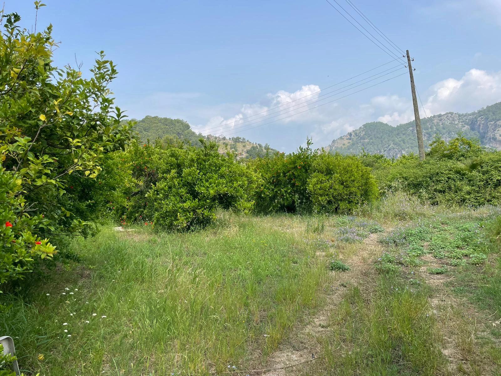 7800 M² Großes Grundstück Zum Verkauf In Gökbel, Neben Der Iztuzu Beach Road