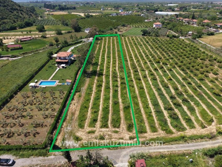 Feld Zu verkaufen in Dalyan Bz. Ortaca - Feld-Zonierung - 5.100 m²