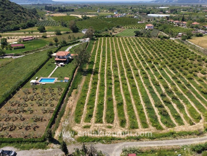 5100 M² Großes Grundstück In Der Nähe Des Stadtzentrums Von Dalyan Zu Verkaufen.