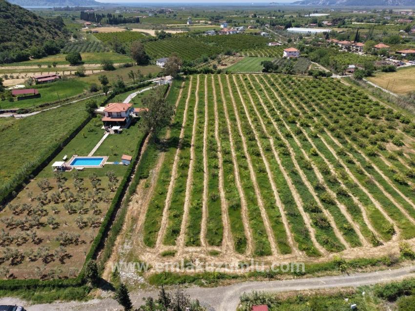 5100 M² Großes Grundstück In Der Nähe Des Stadtzentrums Von Dalyan Zu Verkaufen.