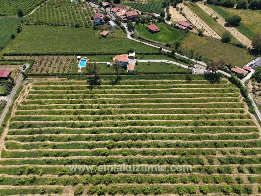 5100 M² Großes Grundstück In Der Nähe Des Stadtzentrums Von Dalyan Zu Verkaufen.
