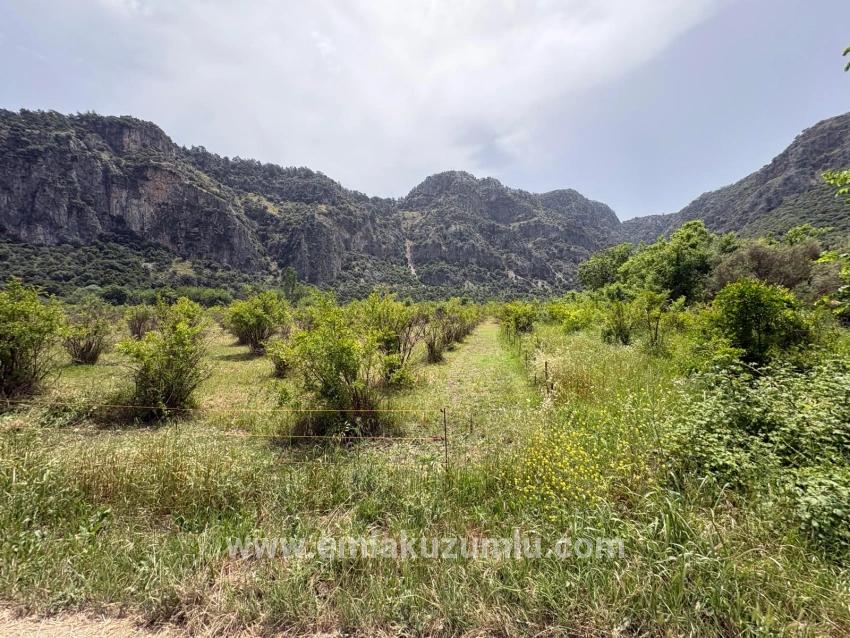 2100 M2 Großes Grundstück Zum Verkauf In Okçular Marmaris.