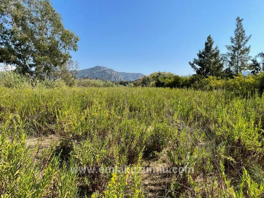 Freistehendes Haus (2765 M²) In Çandır, Direkt Am Kanal, Zu Verkaufen.