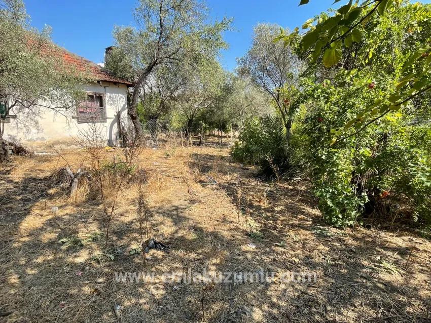 Freistehendes Haus (2765 M²) In Çandır, Direkt Am Kanal, Zu Verkaufen.