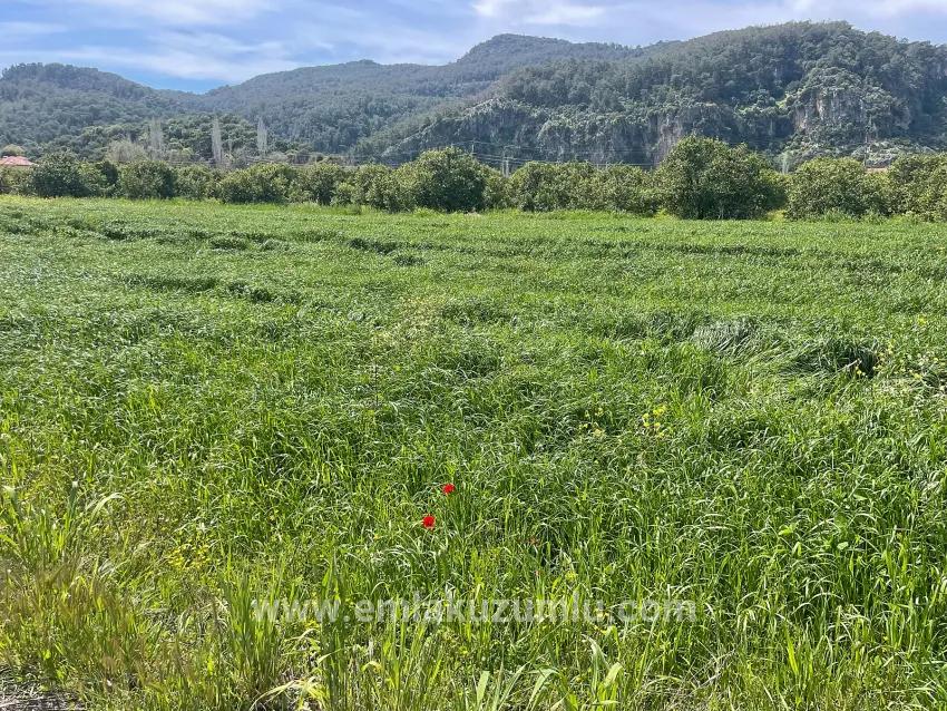 In Okçular Einem 736m2 Großen, 250m2 Großen Bau Genehmigten Verkäuflichen Grundstück
