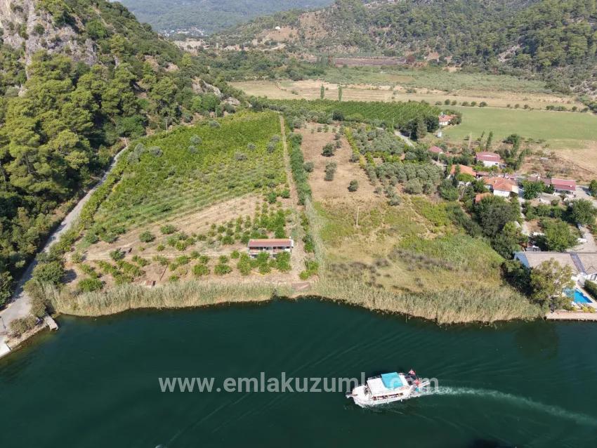Feld Zu verkaufen in Çandır Bz. Köyceğiz - Feld-Zonierung - 20.000 m²