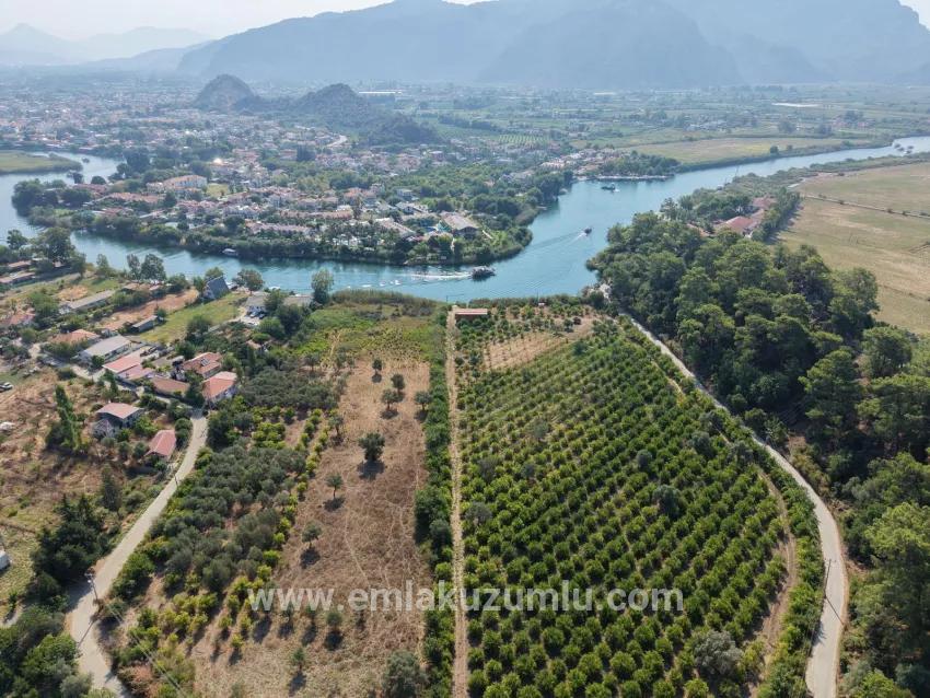 Feld Zu verkaufen in Çandır Bz. Köyceğiz - Feld-Zonierung - 20.000 m²