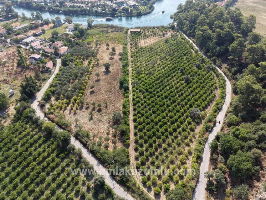 Feld Zu verkaufen in Çandır Bz. Köyceğiz - Feld-Zonierung - 20.000 m²