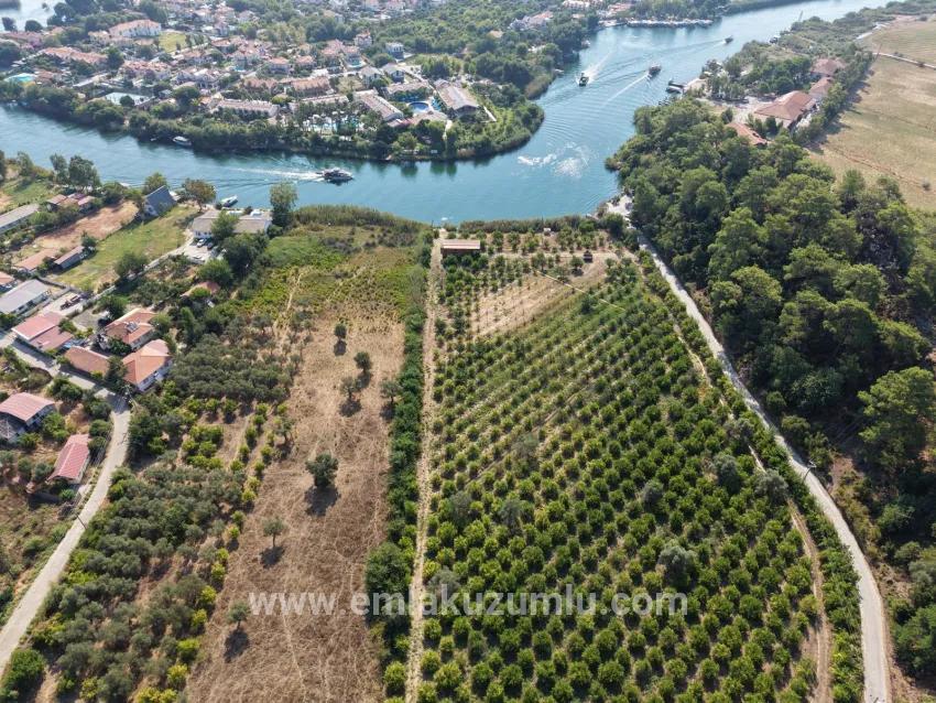 Feld Zu verkaufen in Çandır Bz. Köyceğiz - Feld-Zonierung - 20.000 m²