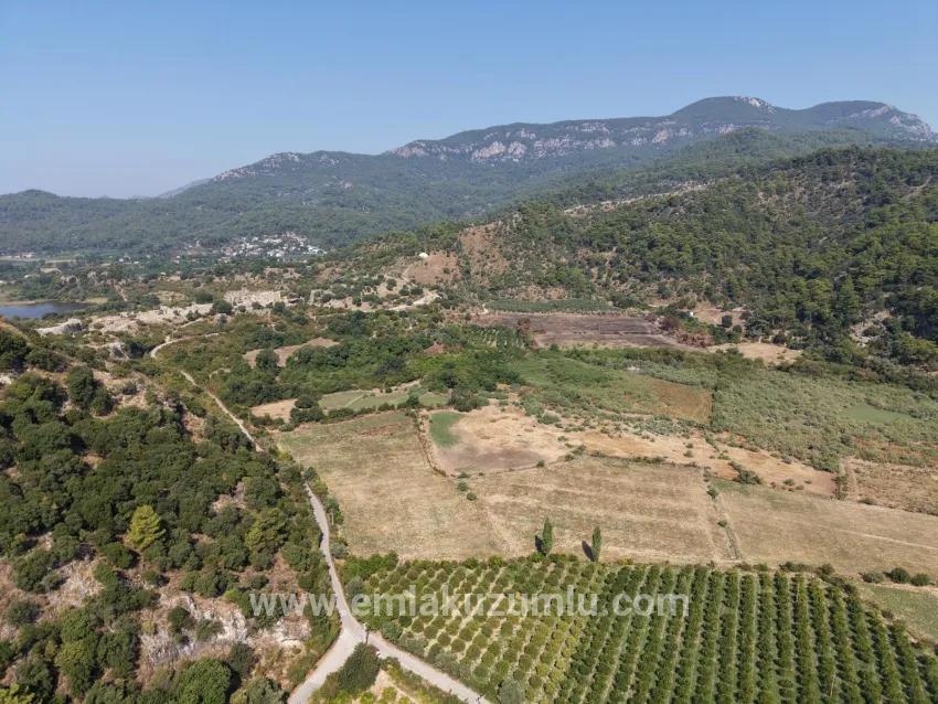 Feld Zu verkaufen in Çandır Bz. Köyceğiz - Feld-Zonierung - 20.000 m²