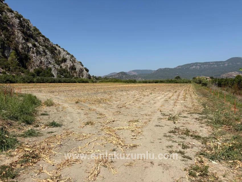 Feld Zu verkaufen in Dalyan Bz. Ortaca - Feld-Zonierung - 20.786 m²