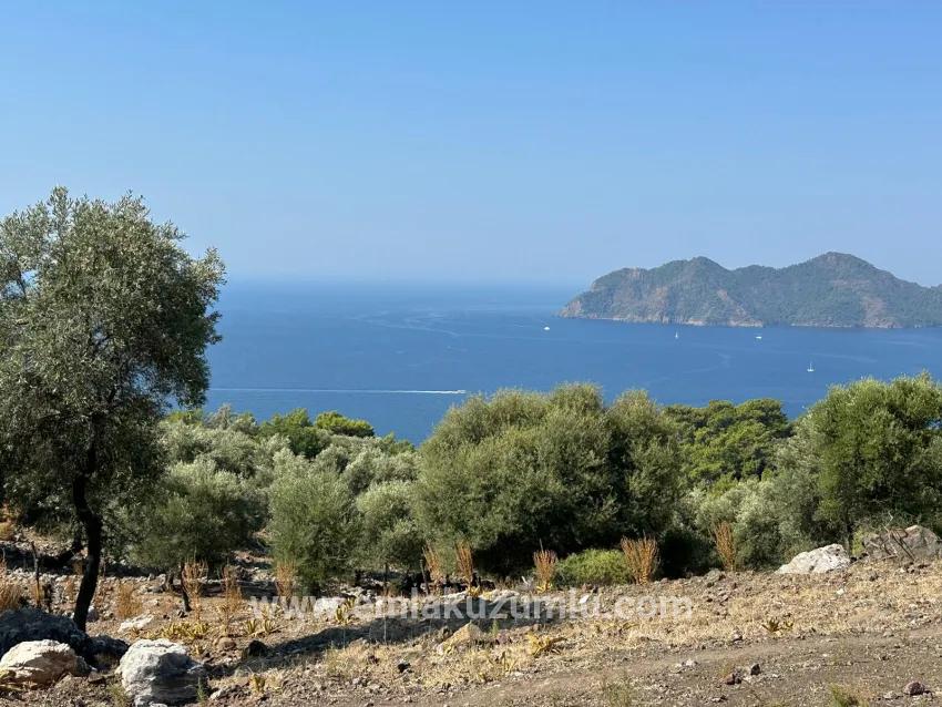 Feld Zu Verkaufen in Çandır Bz. Köyceğiz - Feld-Zonierung - 21.000 m²