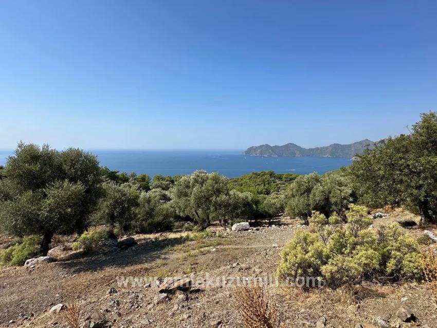 Feld Zu Verkaufen in Çandır Bz. Köyceğiz - Feld-Zonierung - 21.000 m²