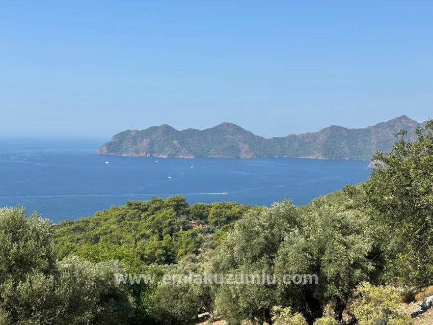 Feld Zu Verkaufen in Çandır Bz. Köyceğiz - Feld-Zonierung - 21.000 m²