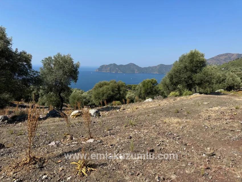 Feld Zu Verkaufen in Çandır Bz. Köyceğiz - Feld-Zonierung - 21.000 m²
