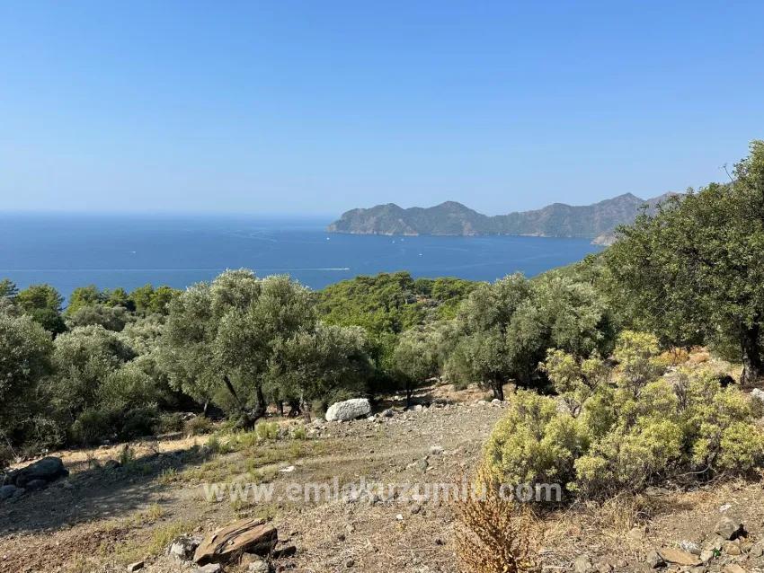 Feld Zu Verkaufen in Çandır Bz. Köyceğiz - Feld-Zonierung - 21.000 m²