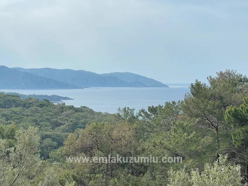 Feld Zu verkaufen in Ekincik Bz. Köyceğiz - Olive-Zonierung - 7.000 m²