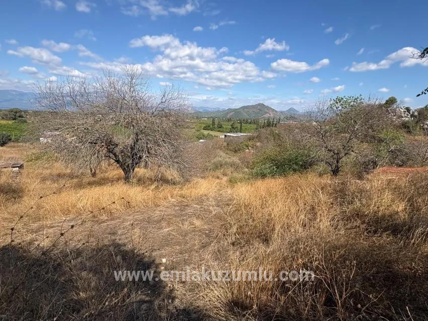 Feld Zu verkaufen in Dalyan Bz. Ortaca - Feld-Zonierung - 5.000 m²