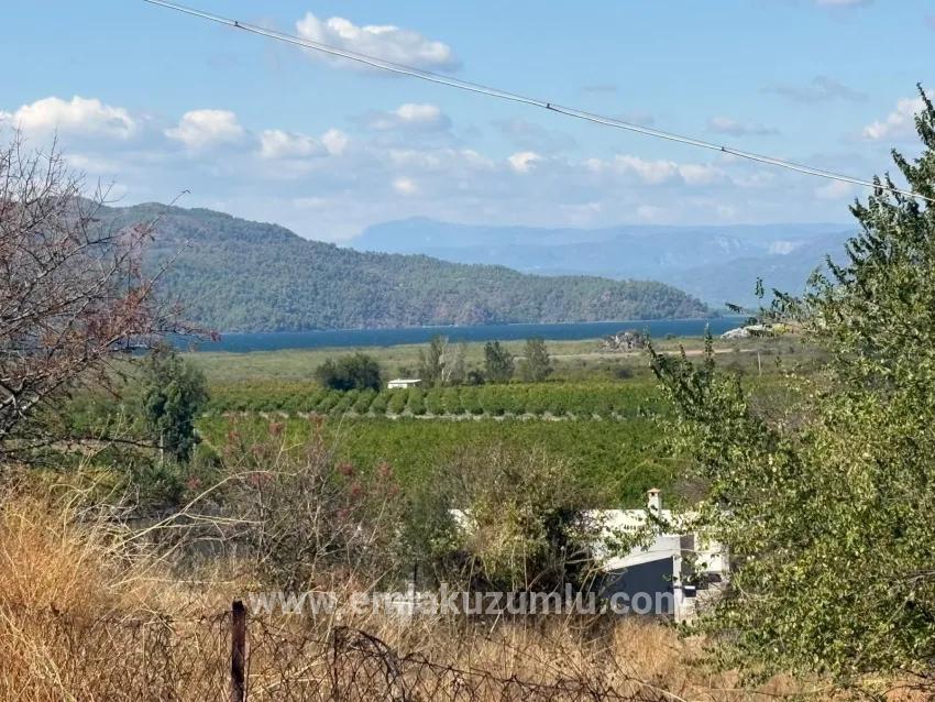 Feld Zu verkaufen in Dalyan Bz. Ortaca - Feld-Zonierung - 5.000 m²