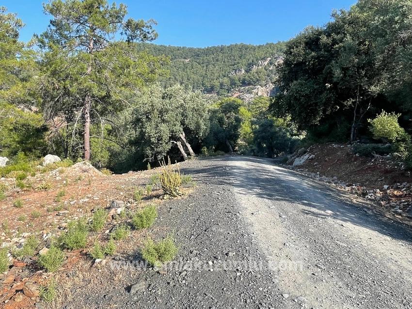 Schnäppchengrundstück Zum Verkauf Mit Meerblick In Der Gegend Von Ekincik-çandır.