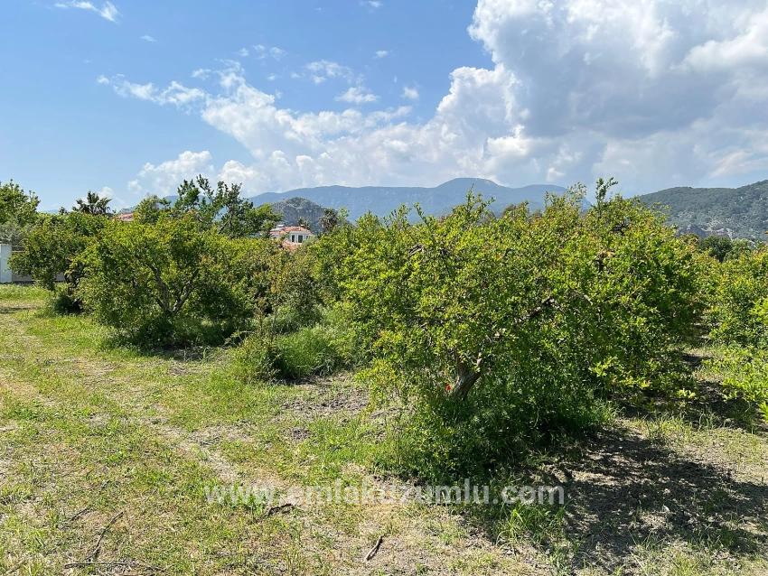 5.100 M² Großes Grundstück In Dalyan, Gebiet Maraş, Zu Verkaufen, Ausgewiesen Für 5% Wohnnutzung.