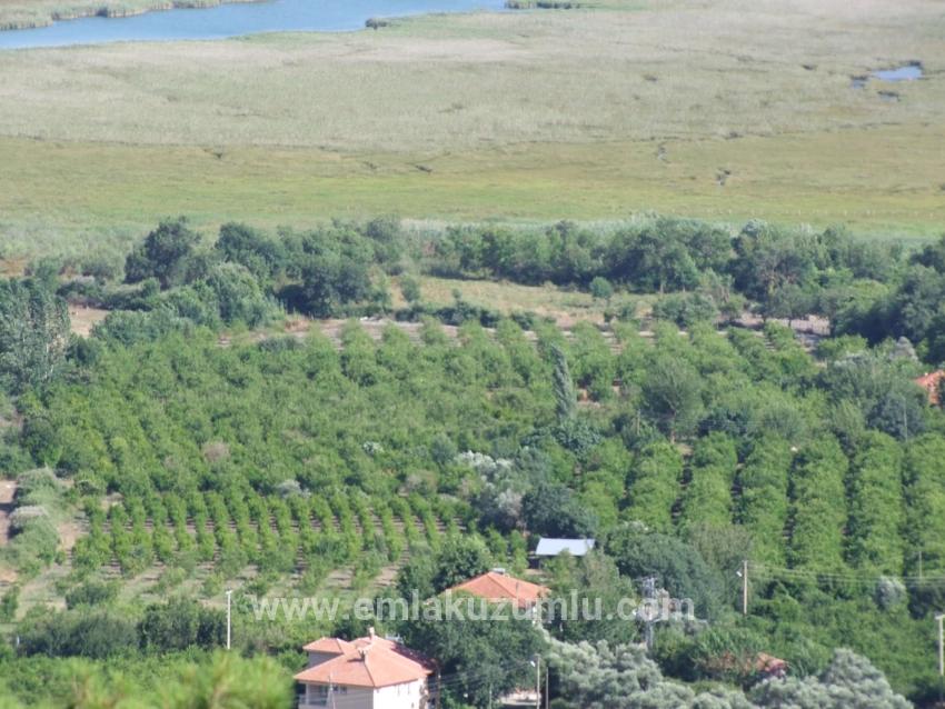 19.334 M² Großes Grundstück Zum Verkauf In Çandır, Köyceğiz.