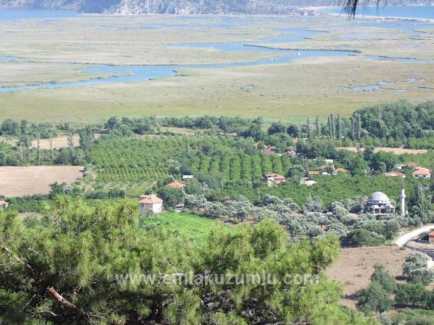 19.334 M² Großes Grundstück Zum Verkauf In Çandır, Köyceğiz.