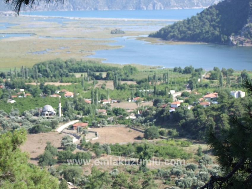 19.334 M² Großes Grundstück Zum Verkauf In Çandır, Köyceğiz.