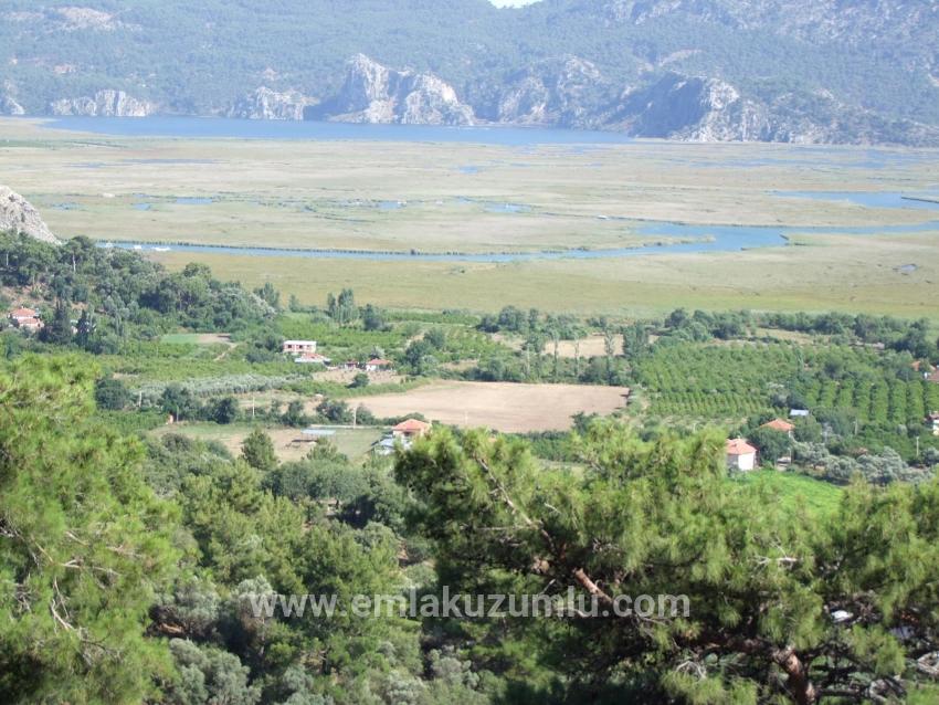 19.334 M² Großes Grundstück Zum Verkauf In Çandır, Köyceğiz.