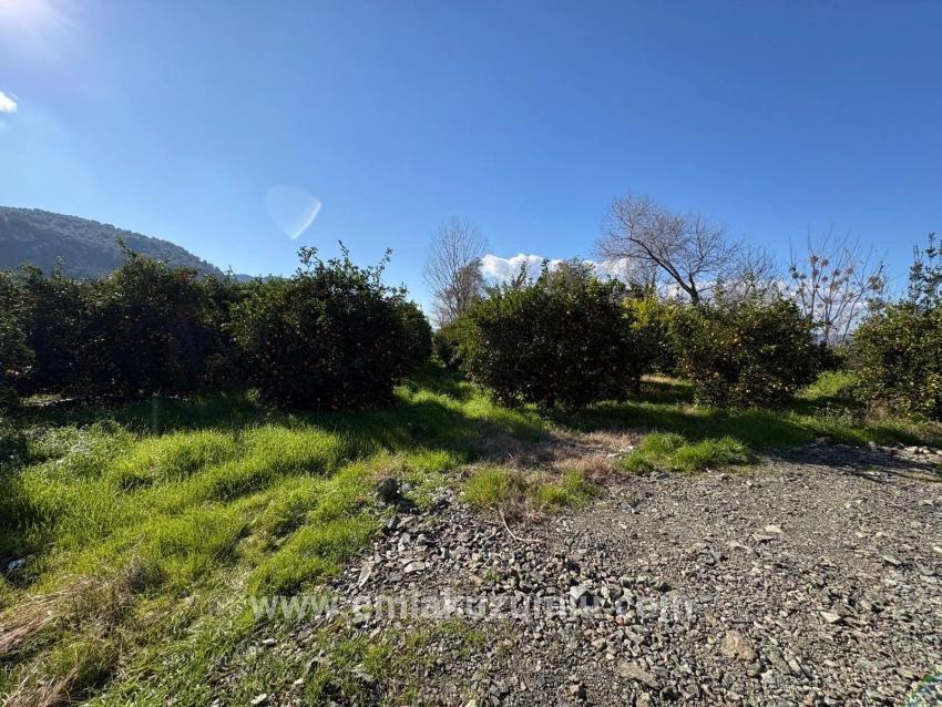 Land Zu verkaufen in Okçular Bz. Ortaca - Gehäuse-Zonierung - 4.326 m²