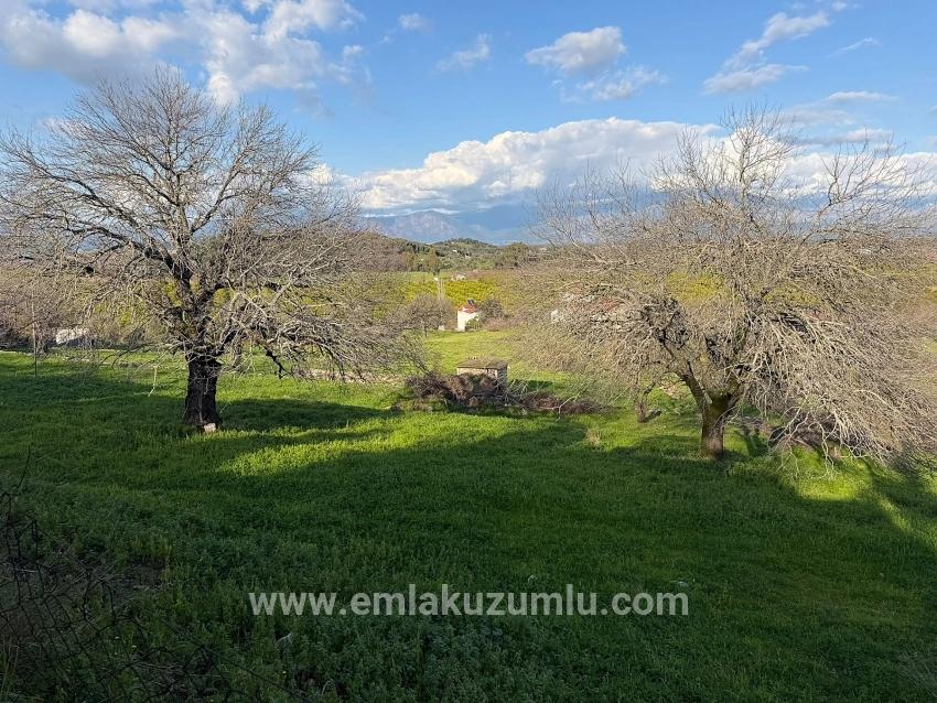 11.230 M² Großes Grundstück Mit Seeblick In Dalyan Zu Verkaufen.