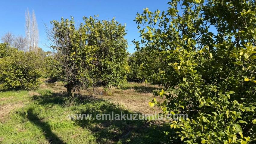 2.218m2 Grundstück Zum Verkauf In Okçular Marmarlı