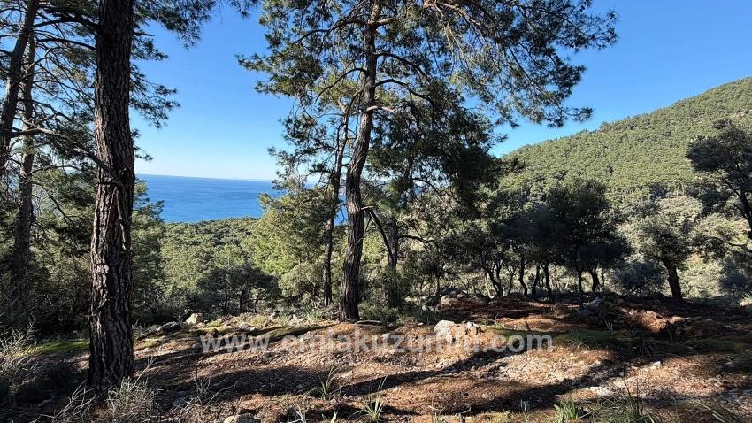 Feld Zu verkaufen in Çandır Bz. Köyceğiz - Gehäuse-Zonierung - 5.715 m²