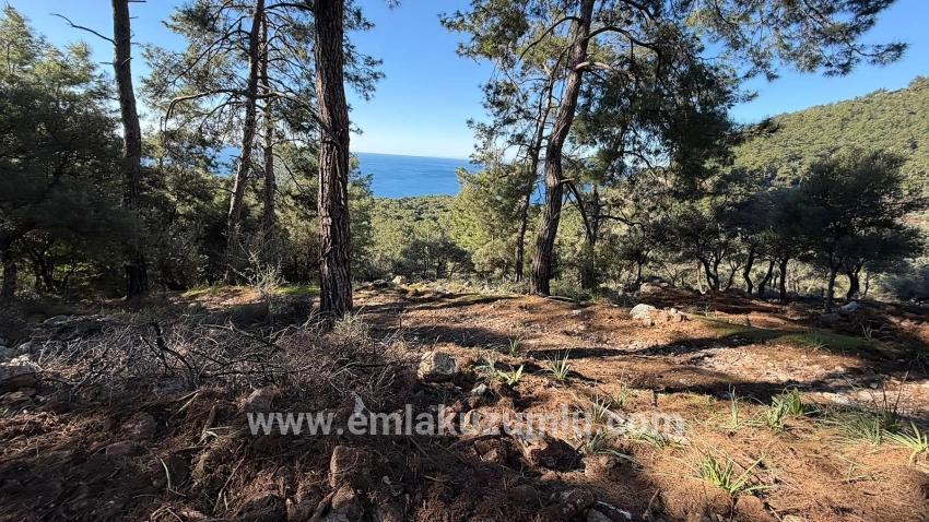 Feld Zu verkaufen in Çandır Bz. Köyceğiz - Gehäuse-Zonierung - 5.715 m²
