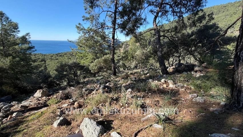 Feld Zu verkaufen in Çandır Bz. Köyceğiz - Gehäuse-Zonierung - 5.715 m²