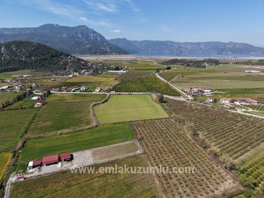 17.550 M2 Weinberg-bahce Zum Verkauf In Der Nähe Des Dalyan Centers