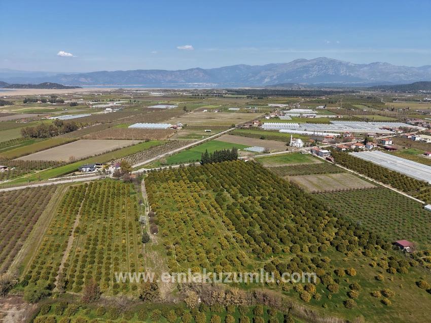 17.550 M2 Weinberg-bahce Zum Verkauf In Der Nähe Des Dalyan Centers
