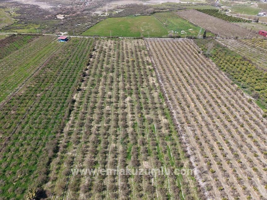 16.710 M² Granatapfelgarten Zum Verkauf Mit Seeblick In Eskiköy