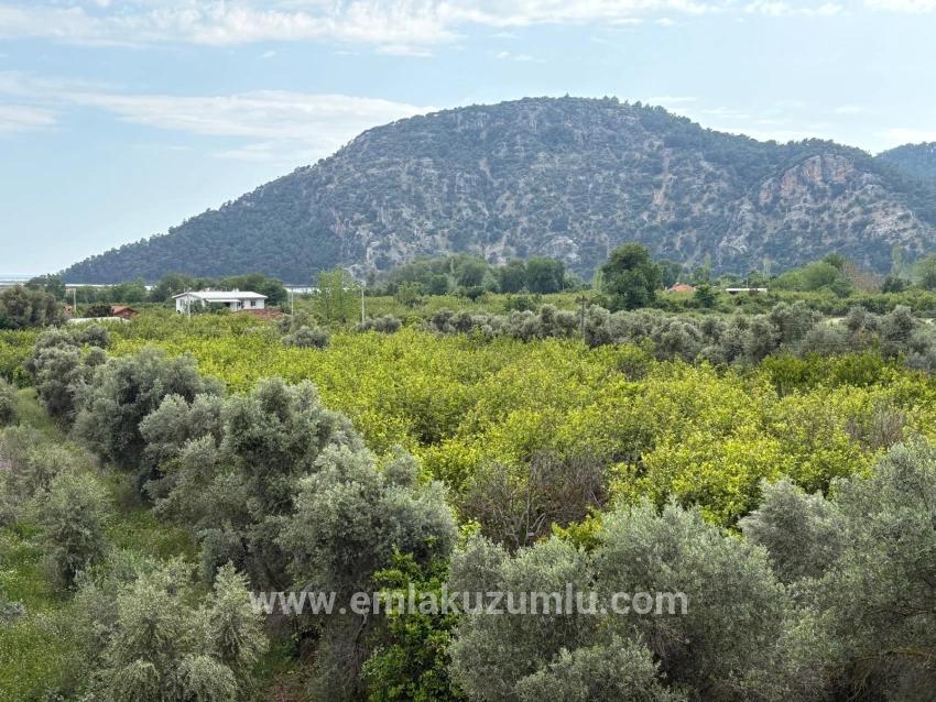 In Çandır Mit Meeres- Und Seeblick 1.721m2 Verkaufsfeld