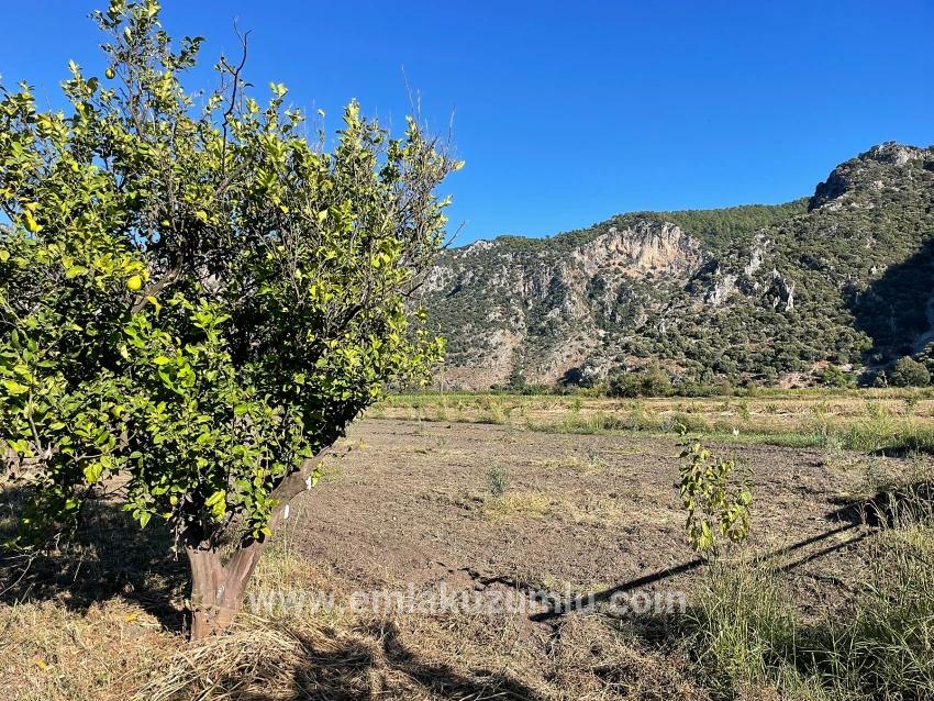 6600 M² Großes Grundstück In Der Nähe Des Zentrums Von Dalyan Zu Verkaufen.