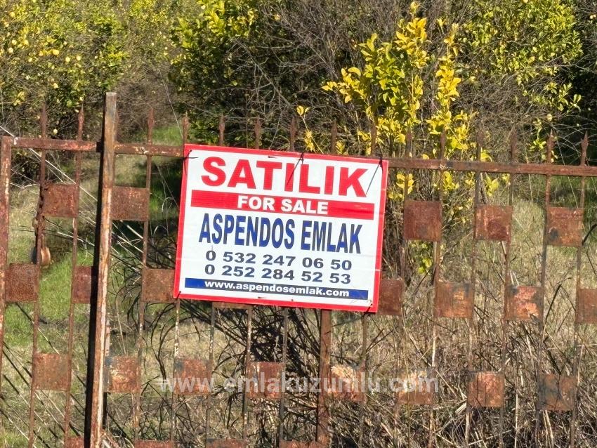 23.000 M² Großes Freistehendes Grundstück In Tepearası Zu Verkaufen.