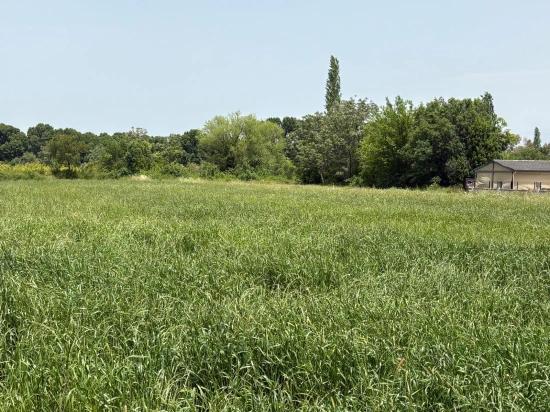 2390 M² Großes Grundstück Zum Verkauf In Okçular Marmaris