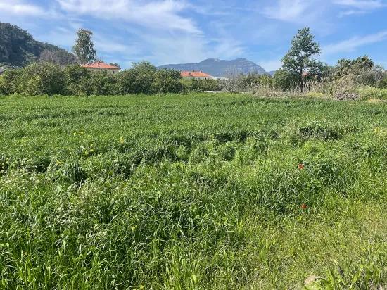 In Okçular Einem 736m2 Großen, 250m2 Großen Bau Genehmigten Verkäuflichen Grundstück