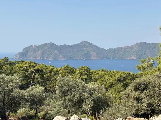 In Çandır mit Meerblick 21.000 m2 zu verkaufen 2b Feld