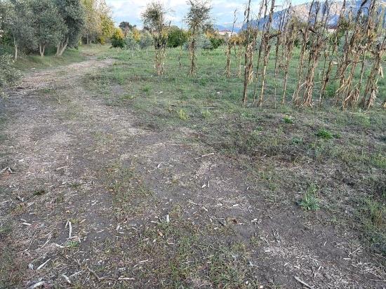 7.450 M² Großes Grundstück In Dalyan Mit 5%iger Zonierung Zu Verkaufen.