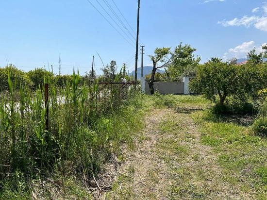 5.100 M² Großes Grundstück In Dalyan, Gebiet Maraş, Zu Verkaufen, Ausgewiesen Für 5% Wohnnutzung.