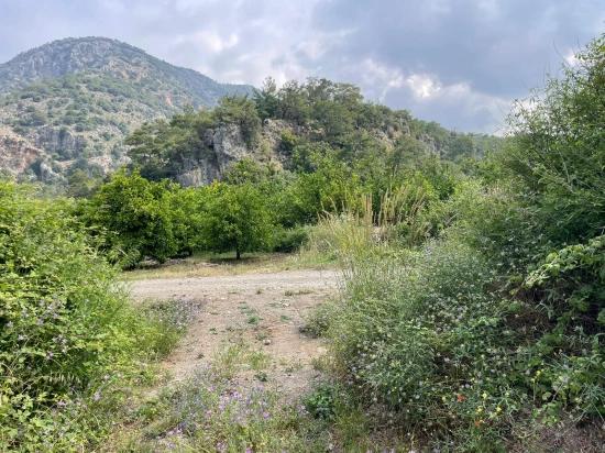 7800 M² Großes Grundstück Zum Verkauf In Gökbel, Neben Der Iztuzu Beach Road