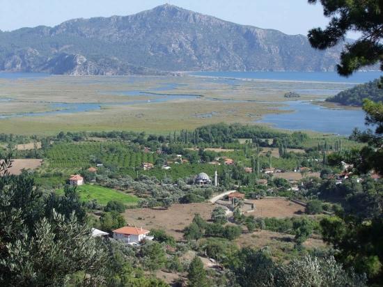 19.334 M² Großes Grundstück Zum Verkauf In Çandır, Köyceğiz.