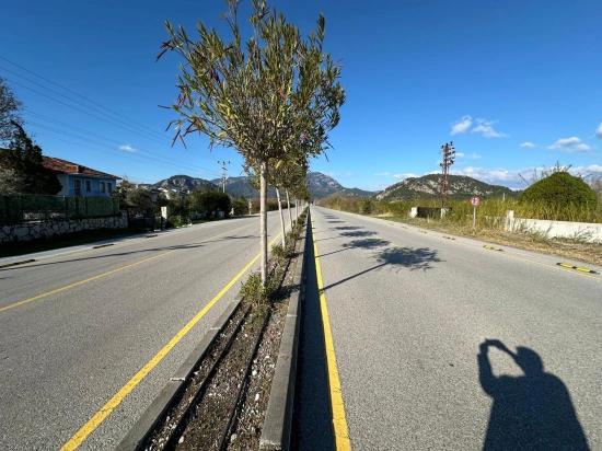 5.111 M² Großes Gewerbe- Und Wohngrundstück Zum Verkauf, Direkt An Der Hauptstraße In Dalyan Gelegen