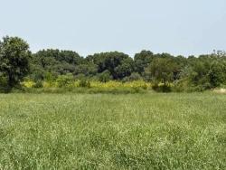 Land Zu verkaufen in Okçular Bz. Ortaca - Gehäuse-Zonierung - 2.100 m²
